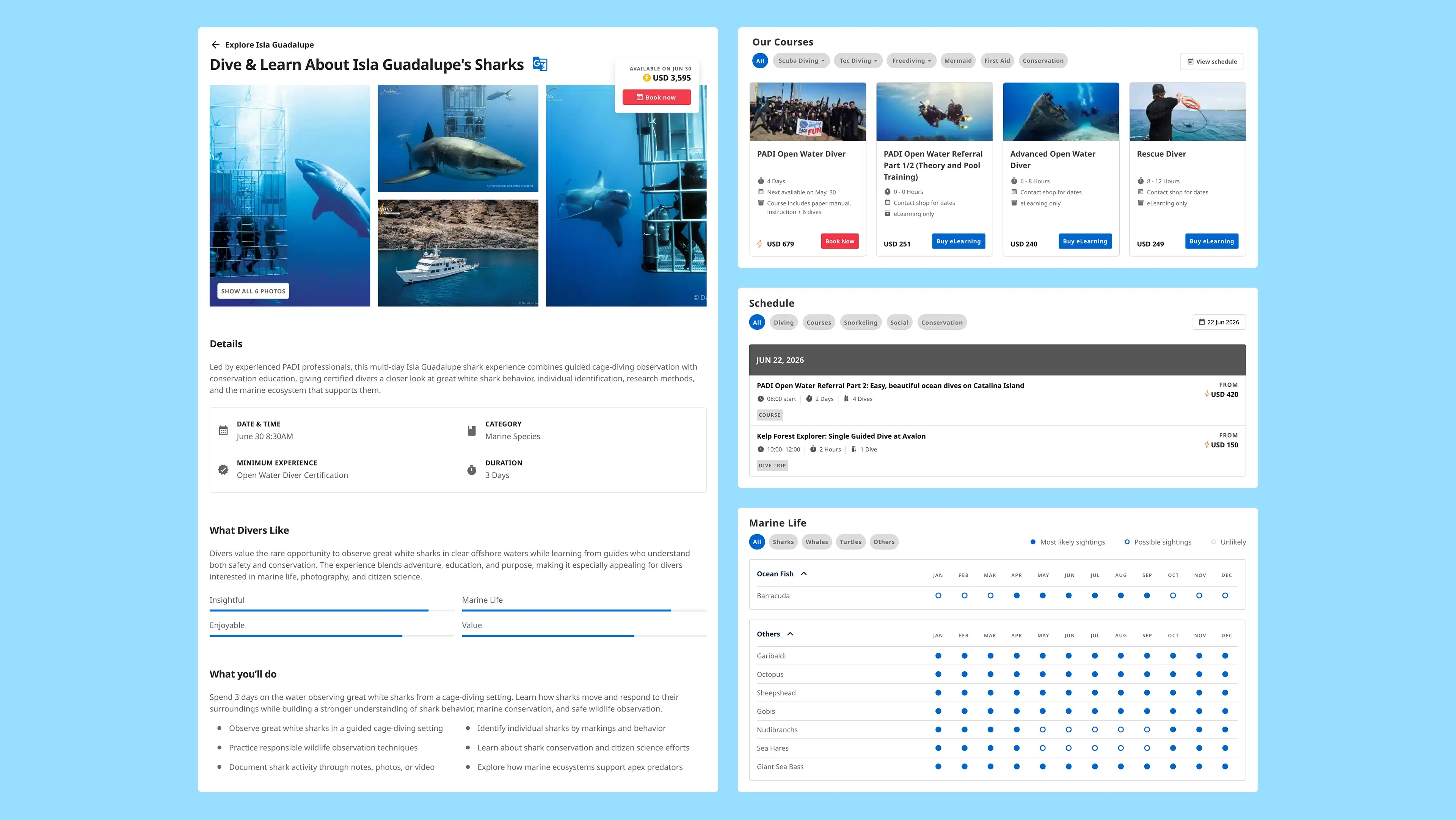 PADI - Cards v1.00